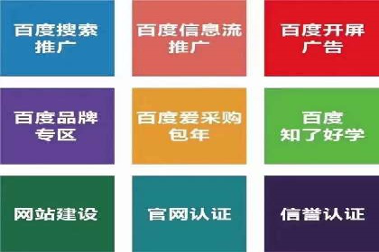 成功案例：网络推广与竞价广告的完美结合